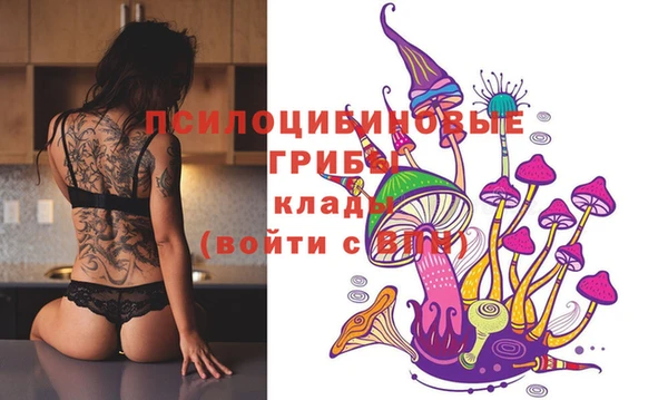 амф Абдулино